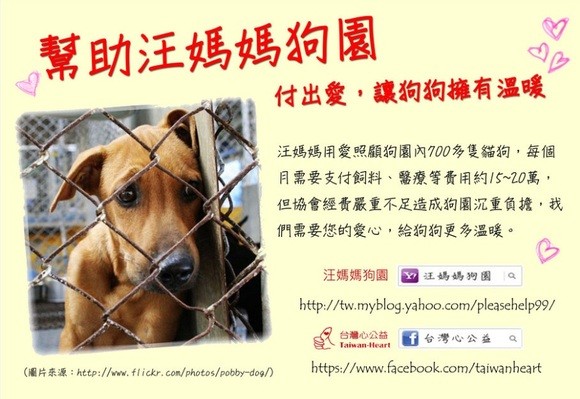 「台灣心公益」於2013年1月15日至3月17日期間，在flyingV設置「流浪狗不再流浪，流浪狗家園計畫」，共募得133400元。