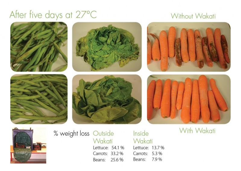 ↑實驗結果顯示，在室溫27度的環境將蔬果放置5天，Wakati能使蔬果不腐爛