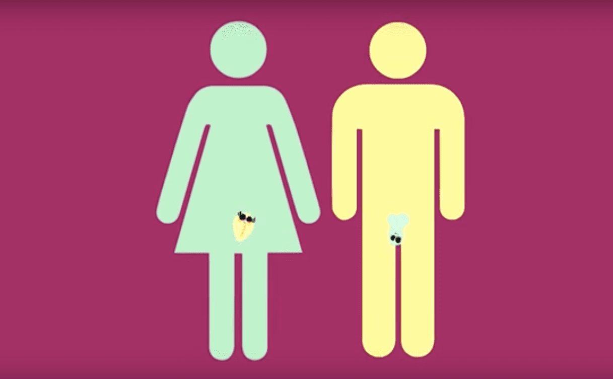 瑞典兩性生殖器童歌影片截圖