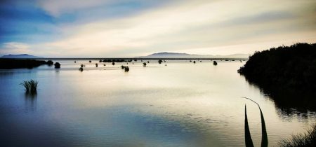 photo credit: ...-Wink-... via photopin cc