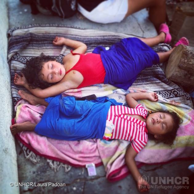 圖片來源：「UNHCR, the UN Refugee Agency」粉絲團